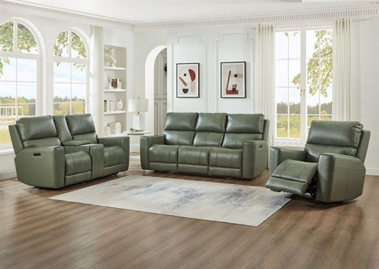 LAREDO CHAIR - GLIDER 2P- SAGE MOSS